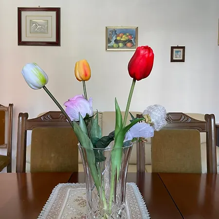 Apartamento Casa Peppe Loreto